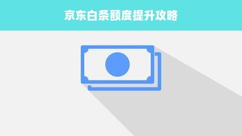 京东白条额度提升攻略