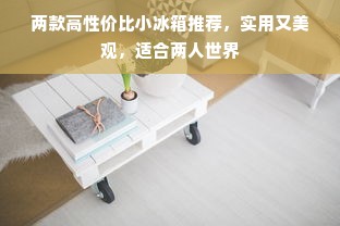 两款高性价比小冰箱推荐，实用又美观，适合两人世界