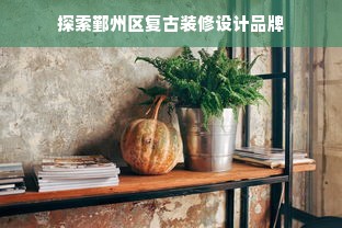 探索鄞州区复古装修设计品牌