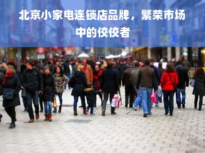 北京小家电连锁店品牌，繁荣市场中的佼佼者