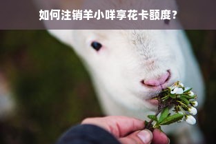如何注销羊小咩享花卡额度？
