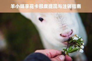 羊小咩享花卡额度提现与注销指南