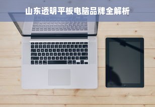 山东透明平板电脑品牌全解析