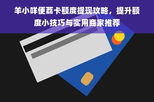 羊小咩便荔卡额度提现攻略，提升额度小技巧与实用商家推荐