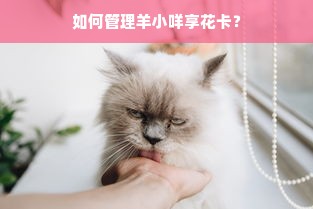 如何管理羊小咩享花卡？