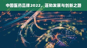 中国医药品牌2022，蓬勃发展与创新之路