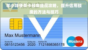 羊小咩便荔卡额度提现攻略，提升信用额度的方法与技巧