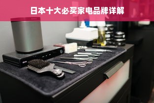 日本十大必买家电品牌详解