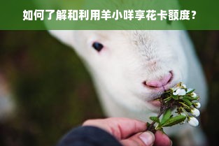 如何了解和利用羊小咩享花卡额度？