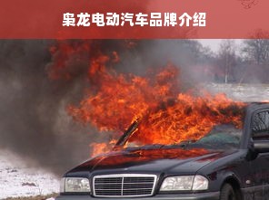 枭龙电动汽车品牌介绍