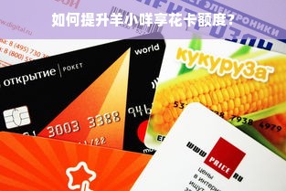 如何提升羊小咩享花卡额度？