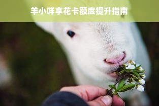 羊小咩享花卡额度提升指南
