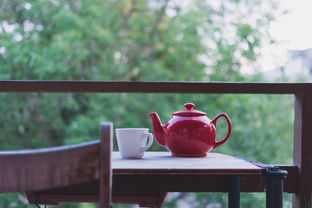 茶叶品牌线下门店，打造沉浸式体验，让茶香飘满人间