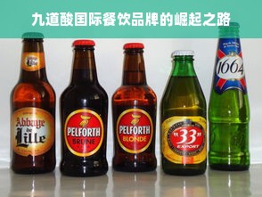 九道酸国际餐饮品牌的崛起之路