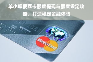 羊小咩便荔卡额度提现与额度设定攻略，打造稳定金融体验