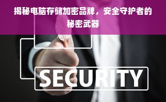 揭秘电脑存储加密品牌，安全守护者的秘密武器