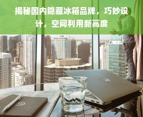 揭秘国内隐藏冰箱品牌，巧妙设计，空间利用新高度