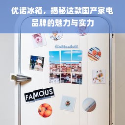 优诺冰箱，揭秘这款国产家电品牌的魅力与实力
