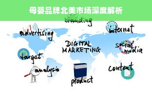母婴品牌北美市场深度解析