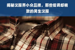 揭秘汉服界小众品牌，那些低调却精致的男生汉服