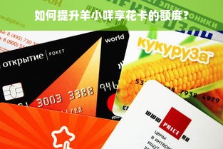 如何提升羊小咩享花卡的额度？