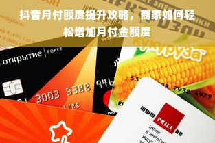 抖音月付额度提升攻略，商家如何轻松增加月付金额度