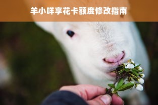 羊小咩享花卡额度修改指南