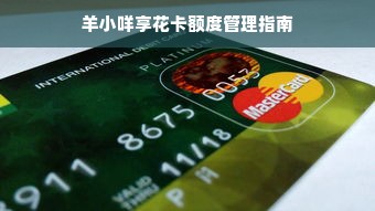 羊小咩享花卡额度管理指南