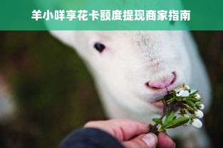 羊小咩享花卡额度提现商家指南