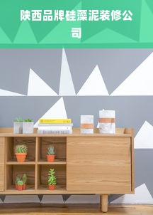 陕西品牌硅藻泥装修公司