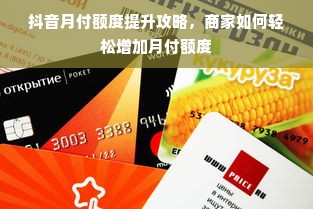 抖音月付额度提升攻略，商家如何轻松增加月付额度