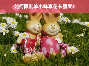 如何限制羊小咩享花卡额度？