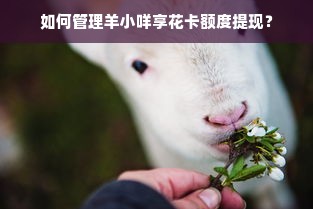 如何管理羊小咩享花卡额度提现？
