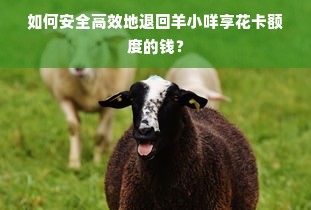 如何安全高效地退回羊小咩享花卡额度的钱？
