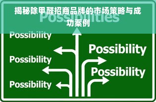 揭秘除甲醛招商品牌的市场策略与成功案例