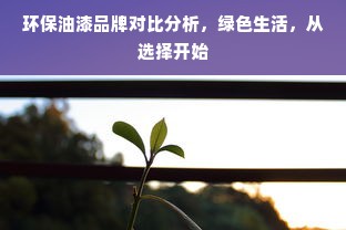 环保油漆品牌对比分析，绿色生活，从选择开始