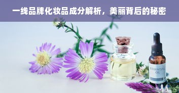 一线品牌化妆品成分解析，美丽背后的秘密