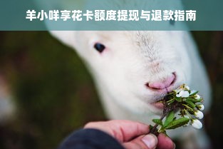 羊小咩享花卡额度提现与退款指南