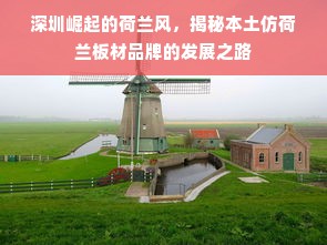 深圳崛起的荷兰风，揭秘本土仿荷兰板材品牌的发展之路