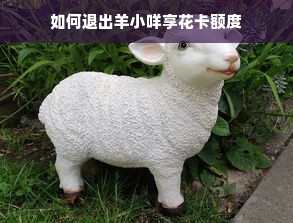 如何退出羊小咩享花卡额度