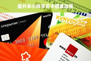 提升羊小咩享花卡额度攻略