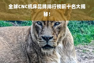 全球CNC机床品牌排行榜前十名大揭秘！