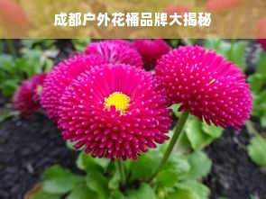 成都户外花桶品牌大揭秘