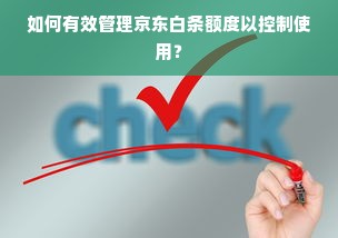 如何有效管理京东白条额度以控制使用？