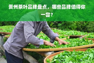 贵州茶叶品牌盘点，哪些品牌值得你一尝？