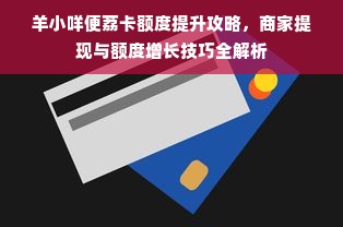 羊小咩便荔卡额度提升攻略，商家提现与额度增长技巧全解析