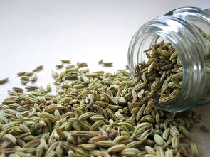 盘点十大品牌茶叶枕，哪个值得你入手？