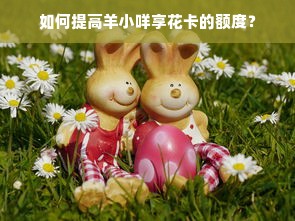 如何提高羊小咩享花卡的额度？