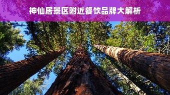神仙居景区附近餐饮品牌大解析