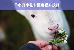 羊小咩享花卡额度提升攻略